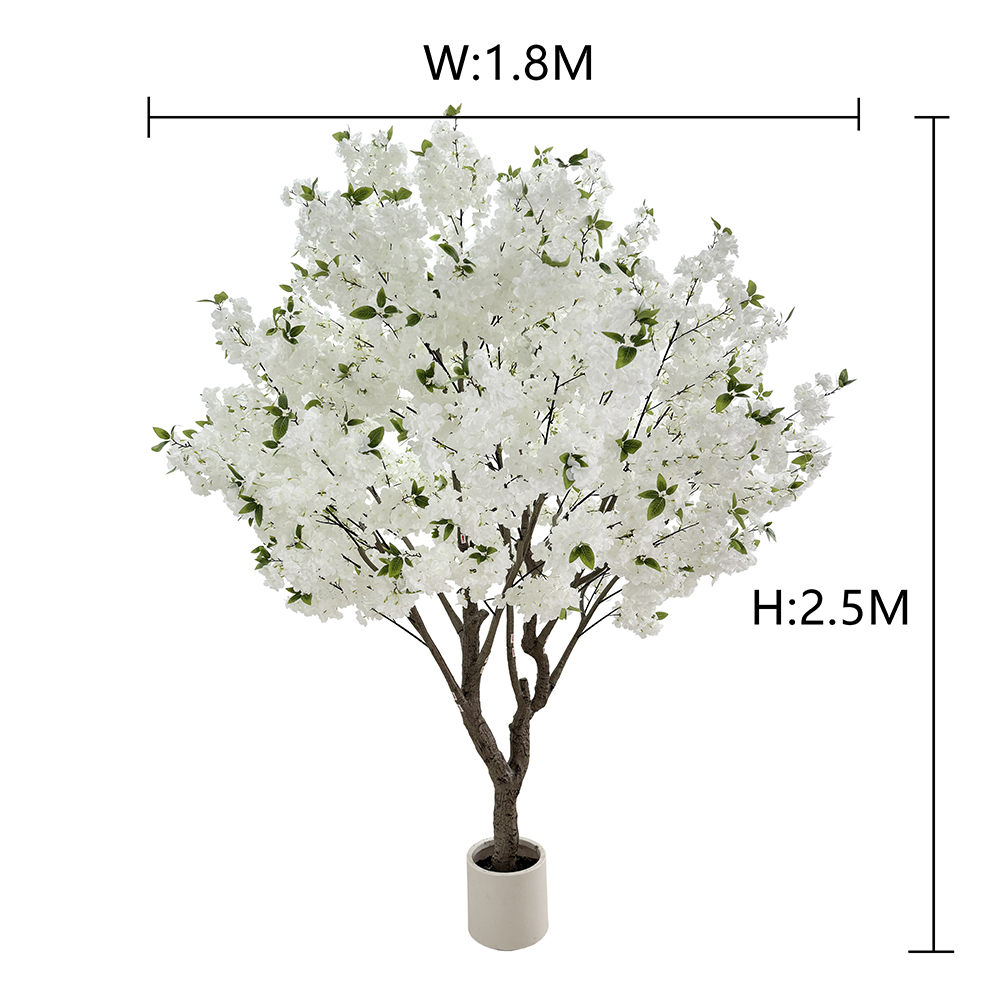 250cm