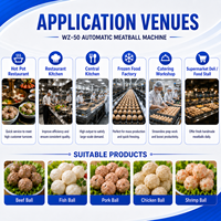 Machine à bakso commerciale automatique pour former des boulettes de viande de bœuf, de poisson et de poulet de 10 à 35 mm pour restaurants et usines de transformation alimentaire