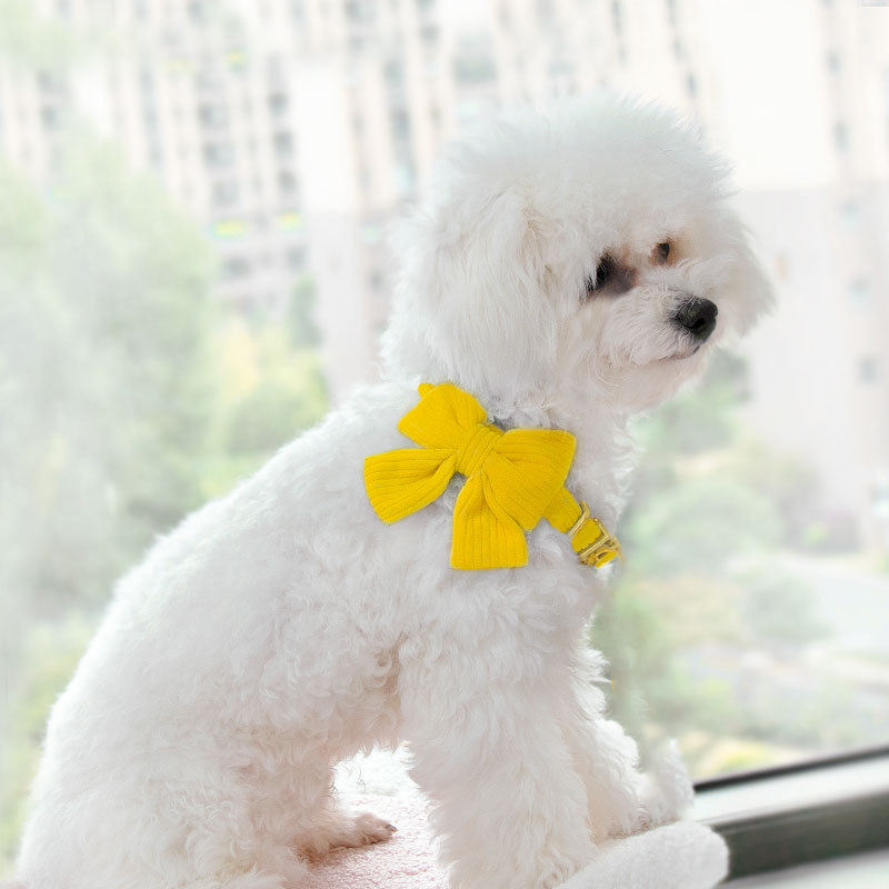 สีเหลือง