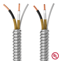 Profesional 12/2 Awg Aia Pvc/nylon aislamiento Cable calibre 2 conductores Mc Cable armadura Ac90 10/3 75m Cable blindado para CA