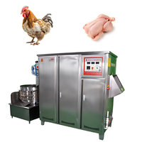 Machine à éplucher et à échauffer les poulets automatique avec pompe et roulement, haute productivité, 380V, pour équipement d'abattage de volailles