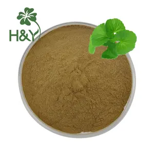 Bột Chiết Xuất Từ Lá Gotu Kola Chất Lượng Cao Nhà Cung Cấp Từ Nhà Máy