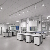 Banc de travail de laboratoire à structure en acier pour salle blanche, mobilier de laboratoire, table stable à structure en acier avec étagère de rangement pour institut de recherche
