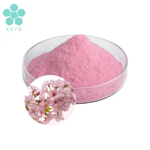 Hoa anh đào chiết xuất Sakura bột hoa anh đào tự nhiên