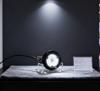 Lumière stroboscopique à LED bicolore avec fonction Wigwag Rouge Bleu Ambre Blanc pour diverses applications