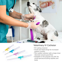 2024 nouveauté jetable Animal Pet IV canule aiguille pour chien et chat