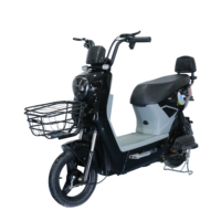 Vente en gros de bicyclette électrique à 2 roues et pédales de haute qualité, vélo électrique 48V 12Ah de fabrication chinoise à prix de vente élevé pour adultes