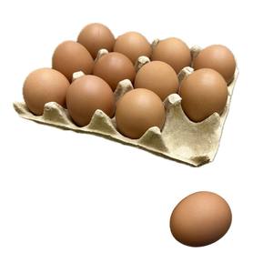 Empaque de bandeja para 12 huevos ecológico al por mayor, bandeja de calidad premium para envasado de huevos en pulpa de papel - Product Image 6