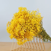 Dekorative Pflanze Baby Breath Konservierte Gypsophila-Blumen für Zuhause Muttertag Abschlussfeier Weihnachten Valentinstag