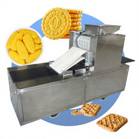 Machine à biscuits OCEAN pour petits chiens, biscuits salés et doux, forme de noix, moule à biscuits, fournisseur de machines à biscuits