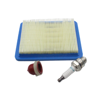 799868 Carburateur pour modèles 498170 497586 497314 698444 498254 497347