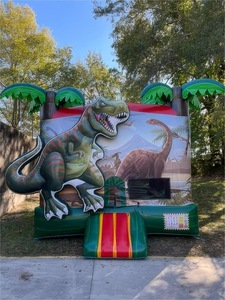 RY Comercial Castillo Hinchable Combinado de Dinosaurios para Niños y Adultos, Pequeño, con Zona de Salto y Tobogán - Product Image 3