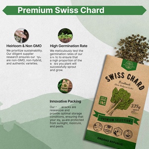 Haute qualité sans OGM pour Swiss Chard Pack 3.75g Chaque facile à cultiver dans votre potager à base de fibres végétales - Product Image 3