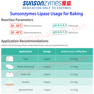Enzyme lipase cấp thực phẩm để nướng tăng độ trắng cho bánh mì, mì của các sản phẩm bột - Product Image 2
