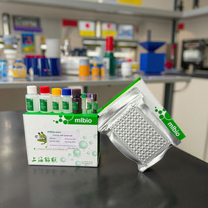 कस्टम Flatoxin (FB1) B1 एलिसा किट - Product Image 3