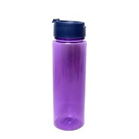 Bouteille d'eau avec infuseur à fruits sans BPA, avec filtre, anti-fuite, bouteille de sport en plastique pour thé détox, jus