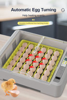 Incubateur à œufs automatique WONEGG Promotion Chicken 36 œufs, incubateur à œufs pas cher à vendre