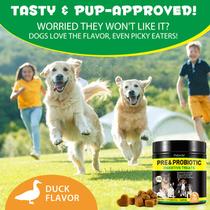 Gran venta al por mayor de golosinas digestivas para mascotas, suplementos probióticos, masticables para perros, salud intestinal, alergia, alivio de la picazón - Product Image 6