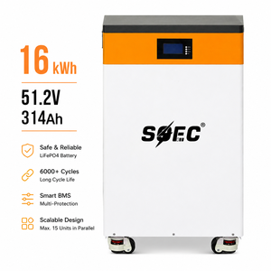 Sistema de Almacenamiento Solar de 16 kWh, Batería de Litio de 51.2V 314Ah, Compatible con Inversores Líderes para Energía Solar Residencial Fuera de la Red 51 - Product Image 1