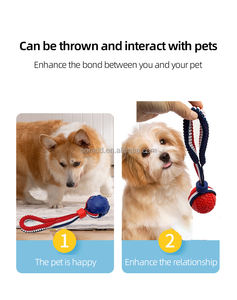 Jouet à mâcher interactif pour chien de taille moyenne à grande Corde à nœud en coton agressif avec motif en os Jouet à dents en caoutchouc TPR pour animaux de compagnie - Product Image 4