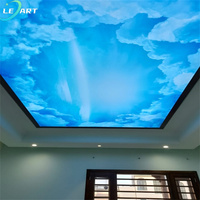 Fábricas chinas PVC para pared paneles de PVC 3D arte decorativo nube estiramiento techo pared mural