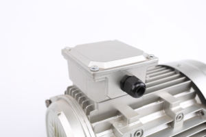 มอเตอร์ไฟฟ้าเหนี่ยวนำสามเฟส MS100L1-4 2.2 กิโลวัตต์ <span class=keywords><strong>3</strong></span> แรงม้า 2800 รอบต่อนาที ประสิทธิภาพสูง สำหรับตัวลดความเร็ว ความถี่ 50 เฮิรตซ์ เสียงรบกวนต่ำ - Product Image 4