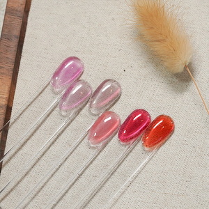 AILANUO Esmalte de Uñas en Gel UV de 6 Colores Efecto Ojo de Gato - No Tóxico, Vegano, Ecológico, Acabado Brillante de Larga Duración, ODM/OEM, Marca Privada - Product Image 1