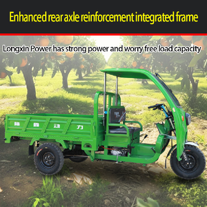 Three-Wheel Agricultural Freight Motorcycle Closed Body with Canopy Pull Load King for Passenger Use <b>Gasoline</b> Power - Product Image 5