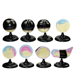 Mô hình quá trình tăng trưởng và phát triển mô hình phôi ếch mô hình sinh học Trường Trung Học Cơ Sở sciedu - Product Image 1