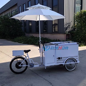 Popular Hand-<b>pushed</b> Canopy Bicycle Ice Cream Truck Custom-made Unpowered Pedal Bicycle Dining <b>Car</b> Mobile Dining <b>Car</b> - Product Image 4