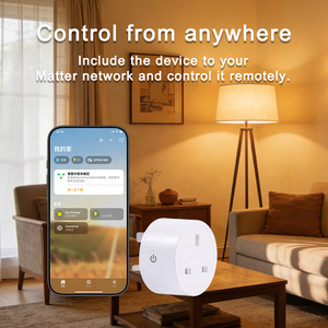 Bilihondim UK Matter Thread Mini Plug Dimmer <span class=keywords><strong>1</strong></span> Canale 200W Controllo Wireless Manuale Portata 30m Garanzia <span class=keywords><strong>1</strong></span> Anno Lampada da Scrivania e da Terra - Product Image 4