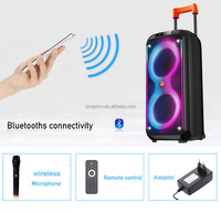 TTD-2821 Sistema de Sonido DJ de 8 Pulgadas y 1500 Vatios, Caja de Karaoke Portátil para Exteriores, Altavoz Bluetooth Inalámbrico, Boombox