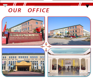 業務用および家庭用 高品質 プロフェッショナル 多機能 筋力トレーニングステーション ジム向けフィットネス機器 - Product Image 2