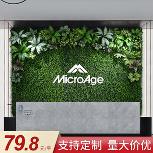 Parete Vegetale Artificiale con Piante Verdi e Sfondo Rosso, Decorazione in Plastica Effetto Prato per Ingresso, Stile Semplice - Product Image 2