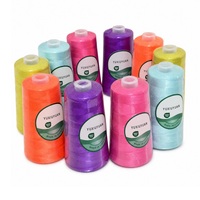 Fil de polypropylène haute ténacité 24 Gassé 250g pour machine à broder multi-aiguilles