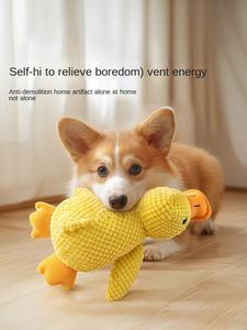 Çevre dostu tavuk lezzet köpek oyuncak peluş vokal yavru ayı ile Teddy Corky Molar diş Pet Bichon öz-bite çözme kapalı kullanım - Product Image 4