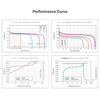 Baterai Lithium Ion LiFePO4 Aman dan Handal dengan Perlindungan BMS Cerdas 24Ah 6000 Siklus untuk Lampu Jalan dan Penyimpanan Energi Grid