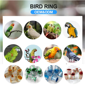 Gepersonaliseerde Maatwerk Verenigd Koninkrijk Duiven Ringen Te Koop Belgium <span class=keywords><strong>Racing</strong></span> Duif Ringen Vogel <span class=keywords><strong>Ring</strong></span> - Product Image 6