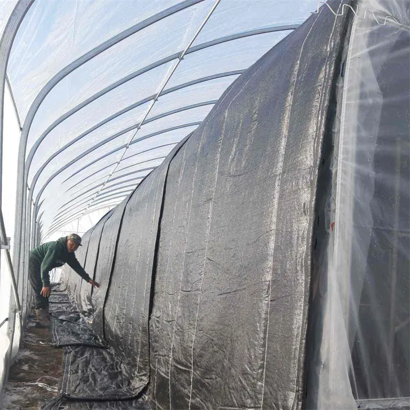 에너지 절약 딸기 재배를위한 자동 따뜻한 이불 더블 레이어 높은 터널 수동 태양열 온실