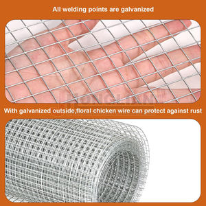 1/4 סטנדרטי "1/2" חור רשת מרותכת מחיר פלדה חומרה בד מרותך מגולוון לחמניות עבור גידור בעלי חיים - Product Image 3