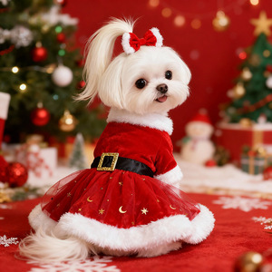 Gaun Musim Dingin Natal untuk Hewan Peliharaan, Rok Beludru Tulle, Kostum Jaring Beludru Emas Lembut, Pakaian Pesta Festival Lucu untuk Pakaian Foto Liburan - Product Image 3