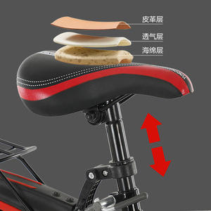Vélo de montagne 22 pouces, cadre Softtail standard, unisexe, pour adultes - Product Image 2
