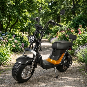 Nuevo Diseño, Scooter con Llantas Anchas de 1000w/2000w, Batería de Litio de 60v 20ah, Sensor, Bicicleta Eléctrica de Aluminio X21, Voltaje de 60v que Garantiza una Gran Potencia - Product Image 1