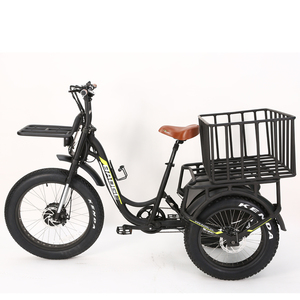 Triciclo de Reparto de Tres Ruedas de Largo Alcance y 2000W - Product Image 3