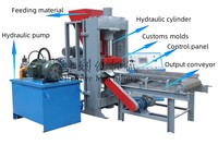 Nouvelle machine à briquettes de charbon indonésien, moteur AC, pression hydraulique, fonctionnement continu pour la ligne de production de charbon à chicha