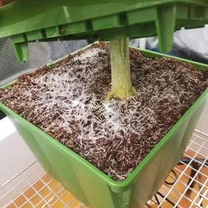 Coperchio del vassoio con tappo <span class=keywords><strong>a</strong></span> <span class=keywords><strong>goccia</strong></span> flessibile in plastica alimentazione superiore per irrigazione per blocco cubo in lana di roccia - Product Image 4