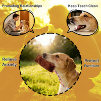 Jouet interactif pour chiot avec poignée confortable et élastique, jouet à tirer durable pour chien, jouet balai pour chiens