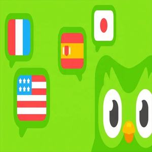 Cuenta Premium de Duolingo Pro, 1 Año, Aplicable Globalmente, Activa Tu Propia Cuenta - Product Image 4