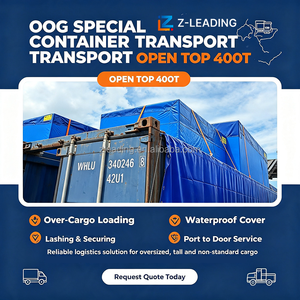 Agente de Transporte Marítimo de Carga, FBA, Japón, <span class=keywords><strong>Narita</strong></span>, Transporte de Carga Puerta a Puerta, DDP, Plataforma Plana - Product Image 2