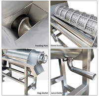 Industriële Commerciële Sapextractor Appel En Sinaasappelsap Ananas Gember Druif Peer Fruit Juicer Mango Spiraal Juicer